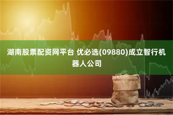 湖南股票配资网平台 优必选(09880)成立智行机器人公司