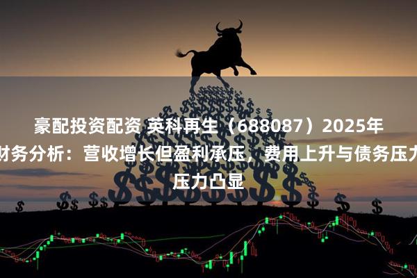 豪配投资配资 英科再生（688087）2025年中报财务分析：营收增长但盈利承压，费用上升与债务压力凸显